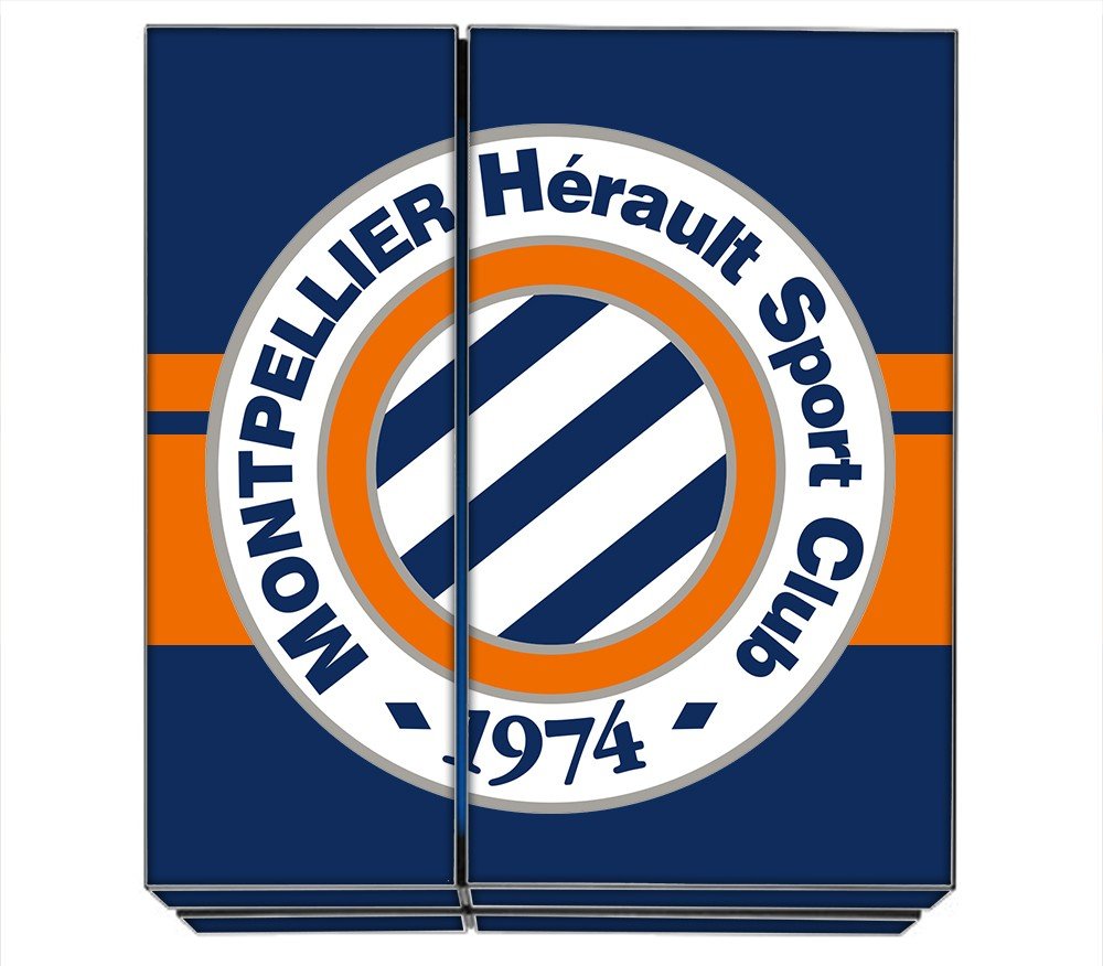 MHSC PS4