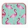 Flamingo Nintendo 2DS