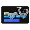 Astronaute Credit Card